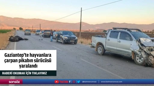 Gaziantep'te hayvanlara &ccedil;arpan pikabın s&uuml;r&uuml;c&uuml;s&uuml; yaralandı