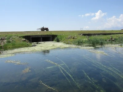 Gaziantep'te papatyalarla kaplanan g&ouml;letler ilgi odağı oldu
