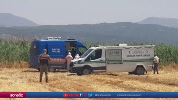 Gaziantep'te sazlık alanda erkek cesedi bulundu