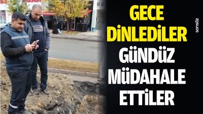 GECE DİNLEDİLER, G&Uuml;ND&Uuml;Z M&Uuml;DAHALE ETTİLER