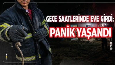Gece saatlerinde eve girdi: panik yaşandı