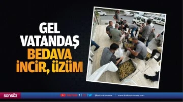 Gel vatandaş, bedava incir, &uuml;z&uuml;m&hellip;