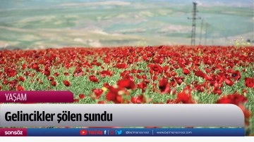 Gelincikler ş&ouml;len sundu