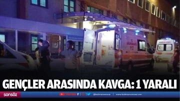 Gen&ccedil;ler arasında kavga: 1 yaralı