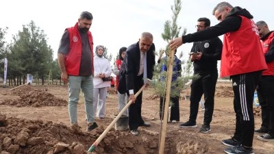 Gen&ccedil;lik fidan dikti