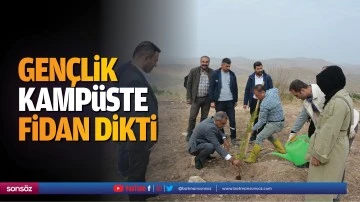 Gen&ccedil;lik, kamp&uuml;ste fidan dikti