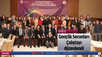 Gen&ccedil;lik Sorunları &Ccedil;alıştayı d&uuml;zenlendi