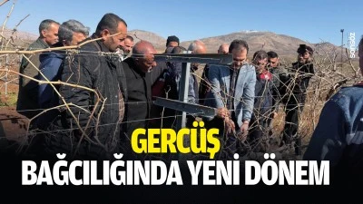 Gerc&uuml;ş bağcılığında yeni d&ouml;nem