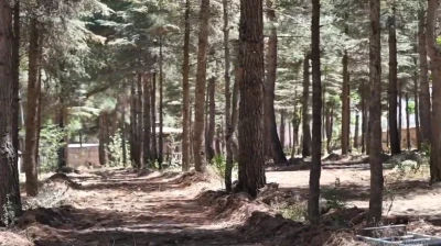 Gerc&uuml;ş&rsquo;e yeni yaşam alanı&hellip;