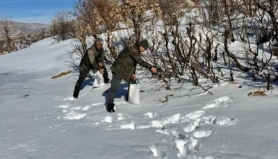 Gerc&uuml;ş&rsquo;te doğaya yem bırakıldı