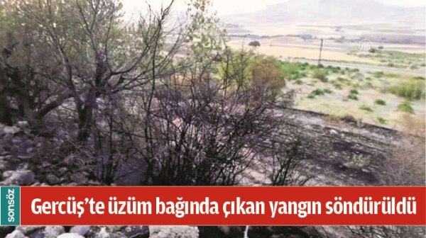 Gerc&uuml;ş'te &uuml;z&uuml;m bağında &ccedil;ıkan yangın s&ouml;nd&uuml;r&uuml;ld&uuml;