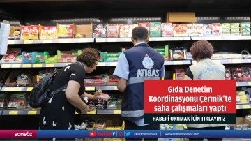 Gıda Denetim Koordinasyonu &Ccedil;ermik&rsquo;te saha &ccedil;alışmaları yaptı