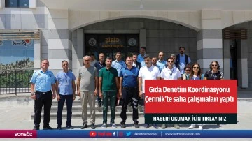 Gıda Denetim Koordinasyonu &Ccedil;ermik&rsquo;te saha &ccedil;alışmaları yaptı