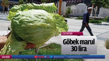 G&ouml;bek marul 30 lira