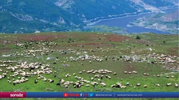 G&ouml;&ccedil;erlerin &ccedil;evre illerden Muş'taki yaylalara yolculuğu s&uuml;r&uuml;yor