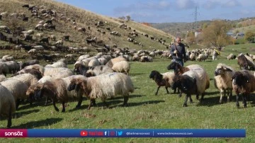 G&ouml;&ccedil;erlerin d&ouml;n&uuml;ş yolculuğu s&uuml;r&uuml;yor