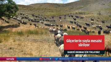 G&ouml;&ccedil;erlerin yayla mesaisi s&uuml;r&uuml;yor