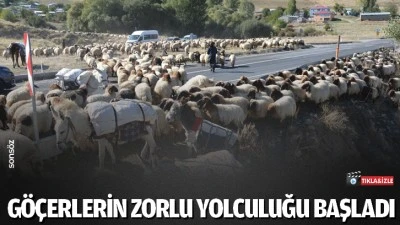 G&ouml;&ccedil;erlerin zorlu yolculuğu başladı