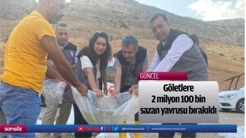 G&ouml;letlere 2 milyon 100 bin sazan yavrusu bırakıldı
