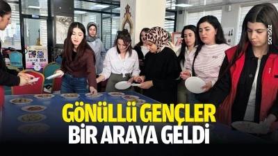 G&ouml;n&uuml;ll&uuml; gen&ccedil;ler bir araya geldi