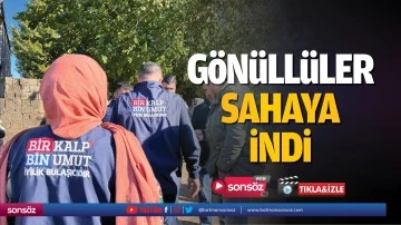 G&ouml;n&uuml;ll&uuml;ler sahaya indi