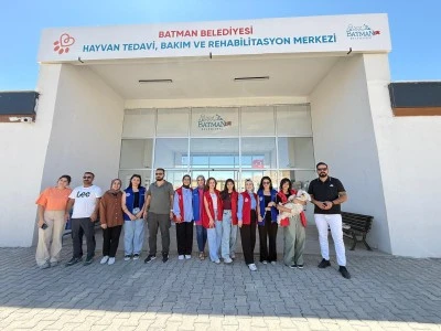 G&ouml;n&uuml;ll&uuml;ler, sahipsiz hayvanları besledi