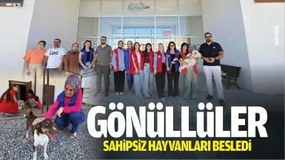 G&ouml;n&uuml;ll&uuml;ler, sahipsiz hayvanları besledi