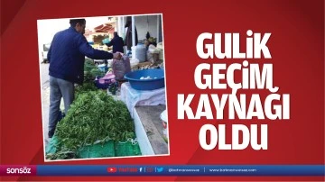 Gulik, ge&ccedil;im kaynağı oldu