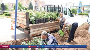 G&uuml;ller, ref&uuml;j ve parklara renk kattı