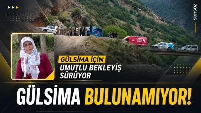 G&uuml;lsima bulunamıyor