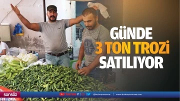 G&uuml;nde 3 ton trozi satılıyor