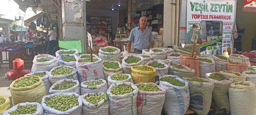 G&uuml;nde 500 kilo zeytin satılıyor