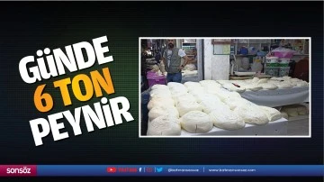G&uuml;nde 6 ton peynir&hellip;