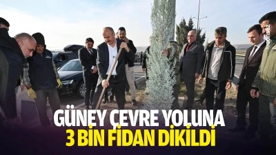 G&uuml;ney &Ccedil;evre Yoluna 3 bin fidan dikildi