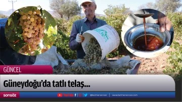 G&uuml;neydoğu'da tatlı telaş...
