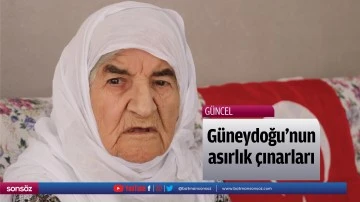 G&uuml;neydoğu'nun asırlık &ccedil;ınarları