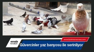 G&uuml;vercinler yaz banyosu ile serinliyor