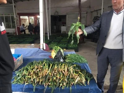 &Ccedil;iriş otu, tezg&acirc;hlarda&hellip;
