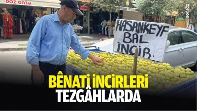 B&ecirc;nati incirleri tezg&acirc;hlarda