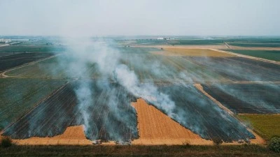&nbsp;Anız yangınında 90 d&ouml;n&uuml;m alan zarar g&ouml;rd&uuml;
