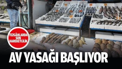 Av yasağı başlıyor; Tezg&acirc;hlarda son hareketlilik