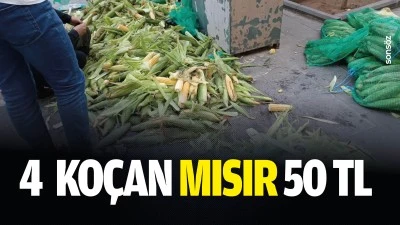 4&nbsp; ko&ccedil;an mısır 50 TL