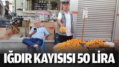 Iğdır kayısısı 50 lira
