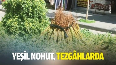 Yeşil nohut, tezg&acirc;hlarda&hellip;