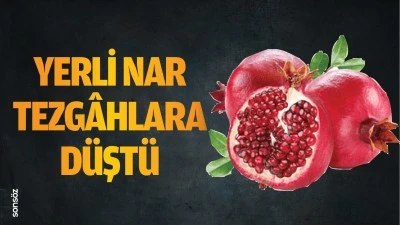 Yerli nar tezg&acirc;hlara d&uuml;şt&uuml; 