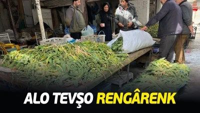 Alo Tevşo reng&acirc;renk