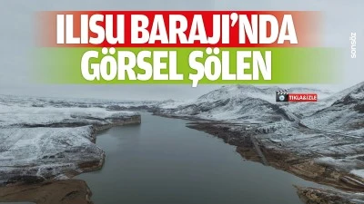 Ilısu Barajı'nda g&ouml;rsel ş&ouml;len