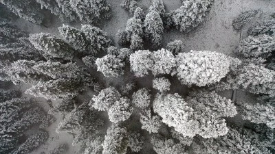  Ilgaz Dağı'nda kar ve sis etkili oldu
