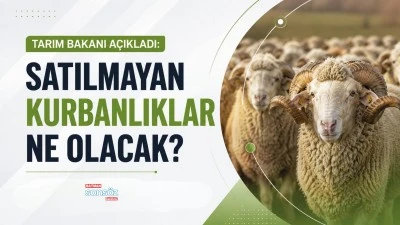 SATILMAYAN KURBANLIKLAR NE OLACAK? TARIM BAKANI A&Ccedil;IKLADI