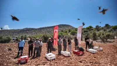 &nbsp;300 kınalı keklik doğaya salındı